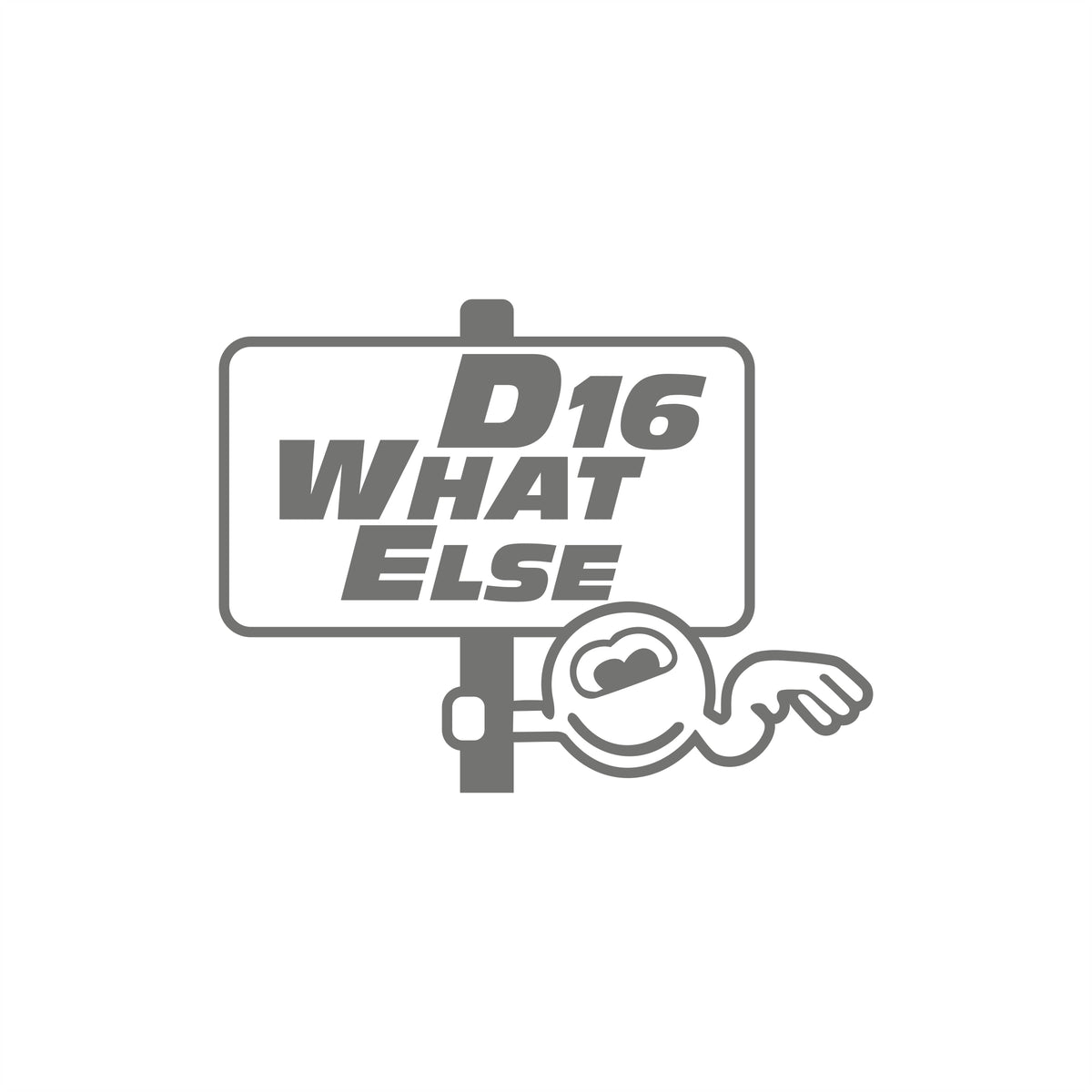 D16 what else