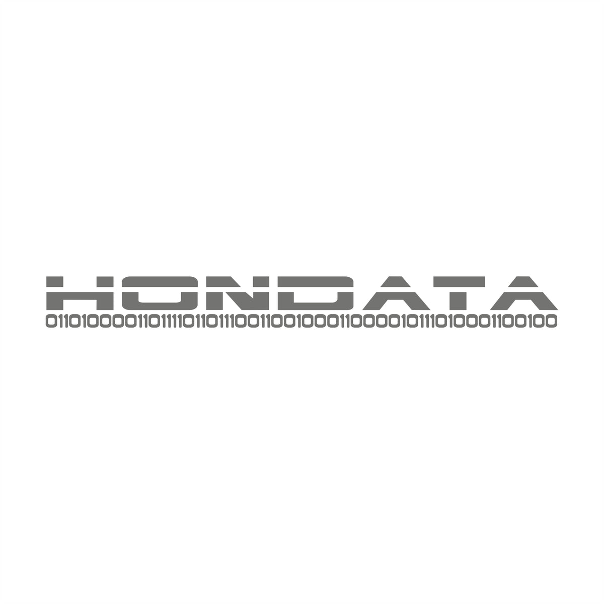 Hondata WSS