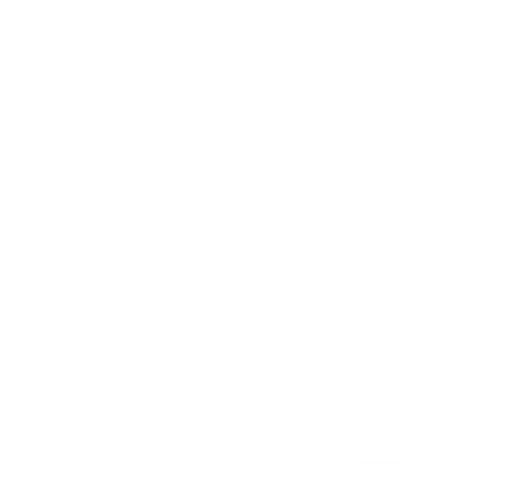 300C Fahrzeugsilhouette
