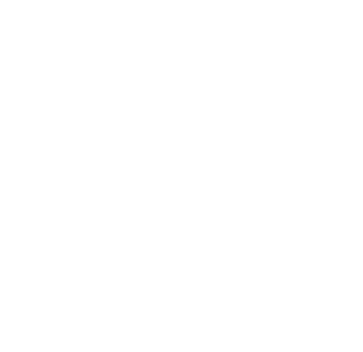 CR-Z – Fahrzeug-Silhouette